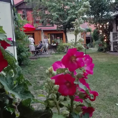컨트리하우스 Sommerhof Spreewald
