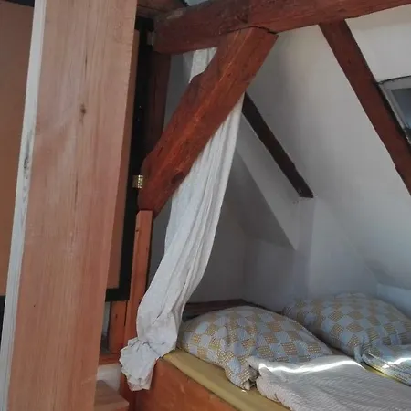 컨트리하우스 Sommerhof Spreewald *